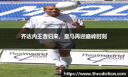 易倍emc体育平台