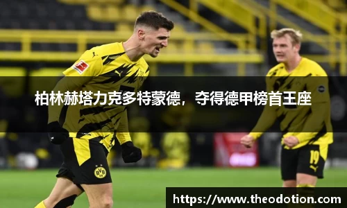 易倍emc体育网址