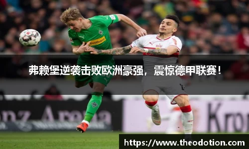 易倍emc体育APP