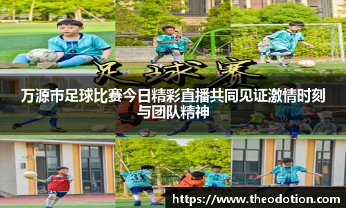 易倍emc体育平台