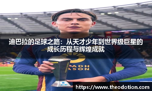 易倍emc体育官网