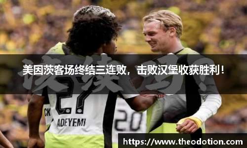 美因茨客场终结三连败，击败汉堡收获胜利！